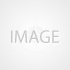 Artificial Software Developer